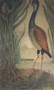 Henri Rousseau Wader oil on canvas